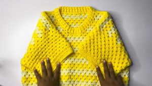 Chic Crochet Short Sleeved Sweater That Feels Timeless